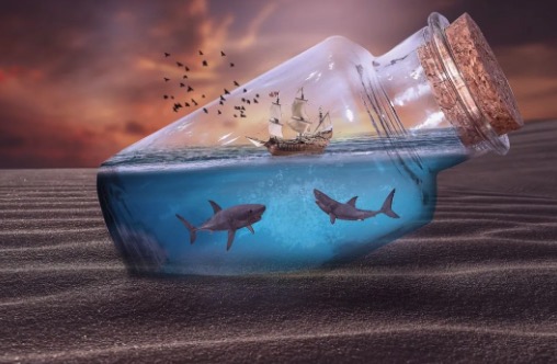 【金蟬脫殼局】你的水族箱有多大？